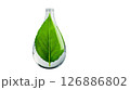 Green leaf in a clear bottle on a transparent background 126886802