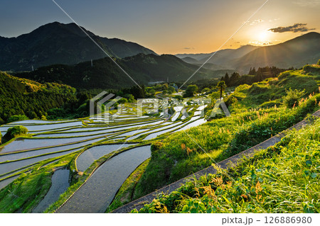 《三重県》丸山千枚田の夕暮れ 126886980