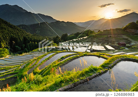 《三重県》丸山千枚田の夕暮れ 《三重県》丸山千枚田の夕暮れ 126886983