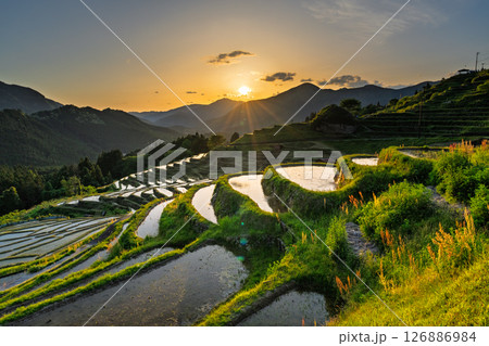 《三重県》丸山千枚田の夕暮れ 126886984