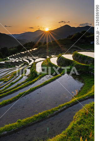 《三重県》丸山千枚田の夕暮れ 126886990