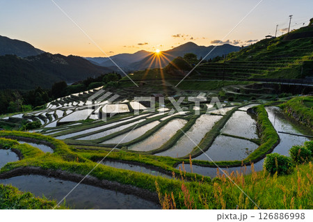 《三重県》丸山千枚田の夕暮れ 126886998