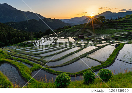 《三重県》丸山千枚田の夕暮れ 《三重県》丸山千枚田の夕暮れ 126886999