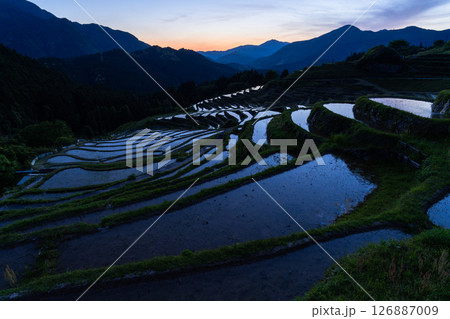 《三重県》丸山千枚田の夕暮れ 126887009