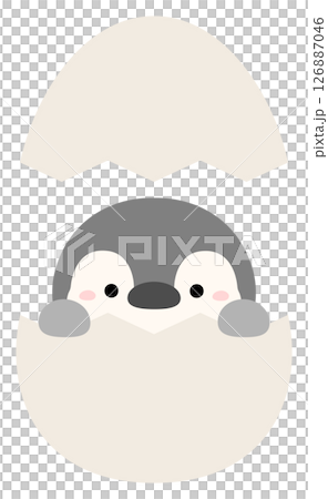 Penguin with eggs 126887046