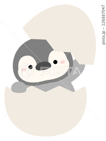 ペンギンの卵 126887047