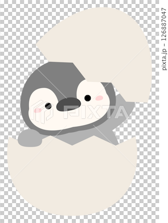 Penguin Egg Penguin Egg 126887047