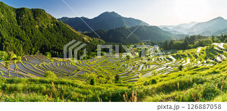《三重県》丸山千枚田の夕暮れ 《三重県》丸山千枚田の夕暮れ 126887058