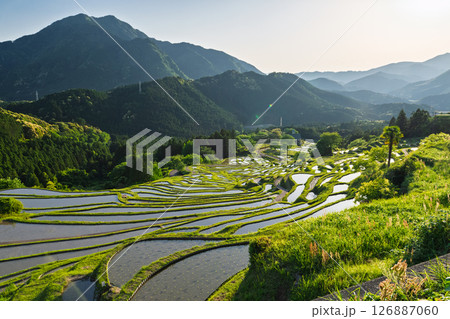 《三重県》丸山千枚田の夕暮れ 126887060