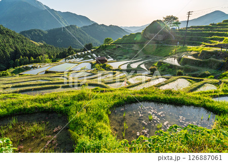 《三重県》丸山千枚田の夕暮れ 126887061