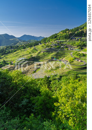 《三重県》新緑の丸山千枚田 126887084