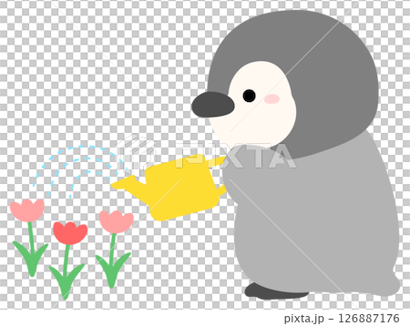 ガーデニングのイラスト、花に水をやるペンギン 126887176