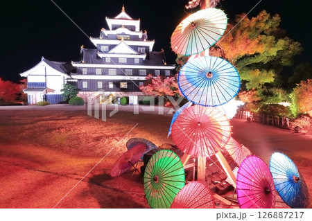 【岡山県】紅葉した岡山城の夜景とライトアップ（令和の大改修後） 126887217