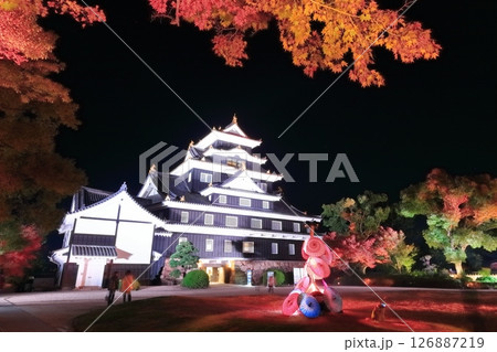 【岡山県】紅葉した岡山城の夜景とライトアップ(令和の大改修後) 【岡山県】紅葉した岡山城の夜景とライトアップ(令和の大改修後) 126887219