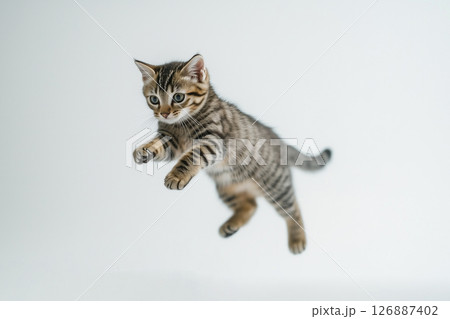 AI生成画像：ジャンプするキジトラ子猫 126887402