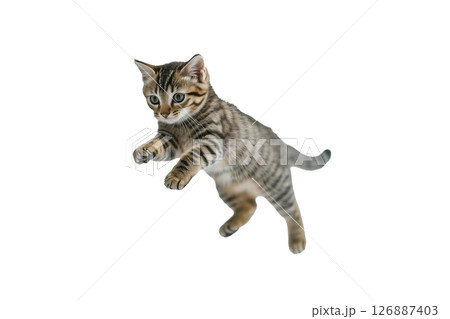 AI生成画像：ジャンプするキジトラ子猫(png) 126887403