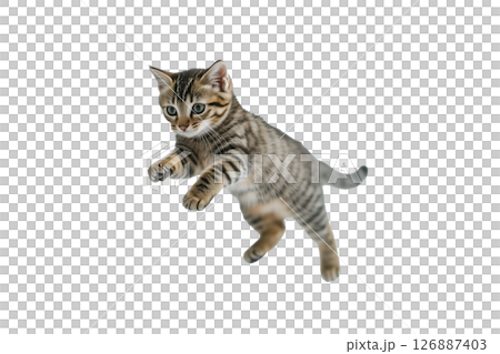 AI生成画像：ジャンプするキジトラ子猫(png) 126887403