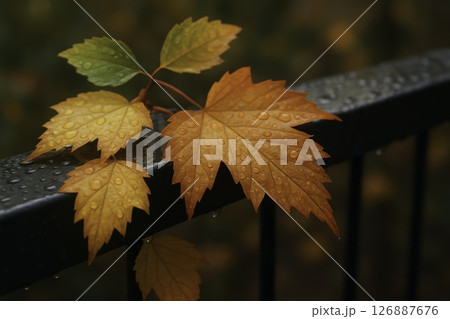rain droplets on black railing in hyper-realistic close-up with soft natural lighting	 126887676