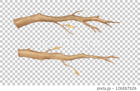 Watercolor tree branches with leaves isolated on white background. Hand painted illustrations set, wooden brown twig Watercolor tree branches with leaves isolated on white background. Hand painted illustrations set, wooden brown twig 126887826