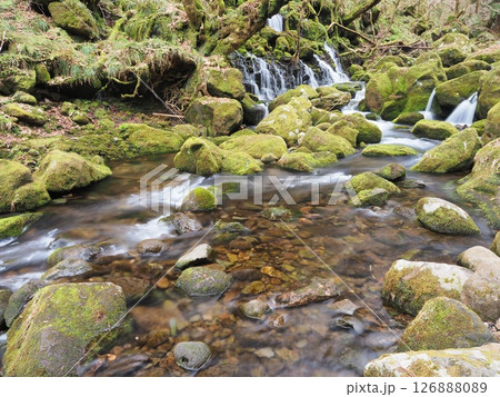 春の秋田県 苔に囲まれた元滝伏流水 春の秋田県 苔に囲まれた元滝伏流水 126888089