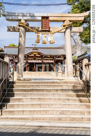 大日女尊神社 鳥居(大日さん) 神戸市東灘区西岡本 大日女尊神社 鳥居(大日さん) 神戸市東灘区西岡本 126888286
