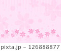 ピンク色背景に桜の花びらが舞う春の壁紙 126888877