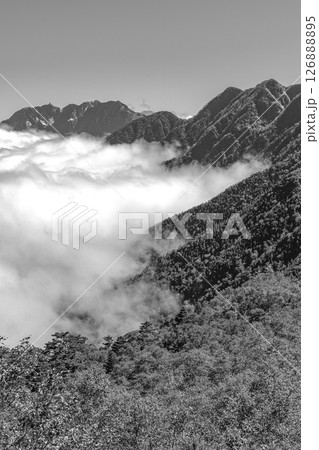 長野県の北沢峠から甲斐駒ヶ岳登山:鳳凰三山の地蔵ヶ岳オベリスクと雲海 長野県の北沢峠から甲斐駒ヶ岳登山:鳳凰三山の地蔵ヶ岳オベリスクと雲海 126888895