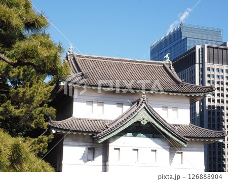 皇居外苑 126888904