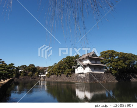 皇居外苑 皇居外苑 126888907