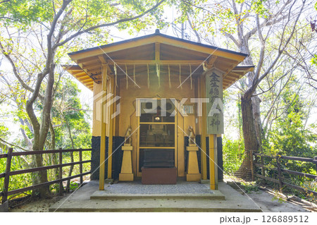 八幡山　瑞龍寺門跡　金生稲荷神社 126889512