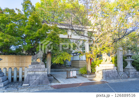京都 安井金比羅宮 石鳥居 京都 安井金比羅宮 石鳥居 126889516