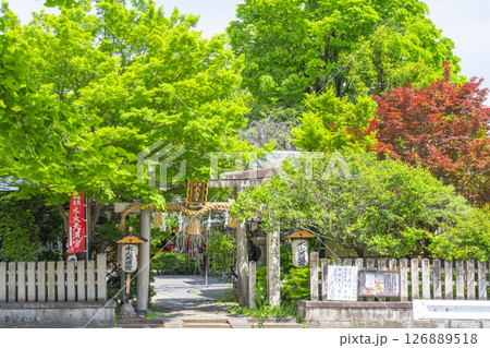 新緑に包まれた水火天満宮 126889518