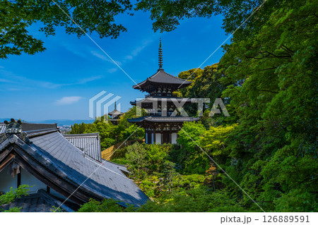 奈良県葛城市　當麻寺の国宝の三重塔　西塔と東塔 126889591