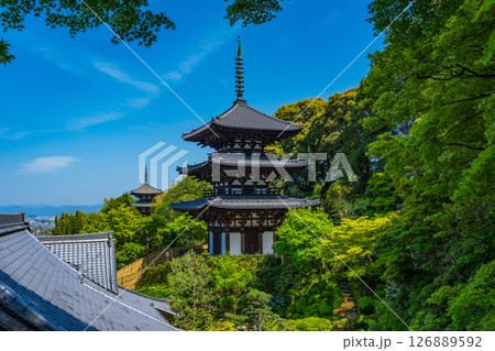 奈良県葛城市　當麻寺の国宝の三重塔　西塔と東塔 126889592