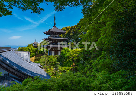 奈良県葛城市　當麻寺の国宝の三重塔　西塔と東塔 126889593
