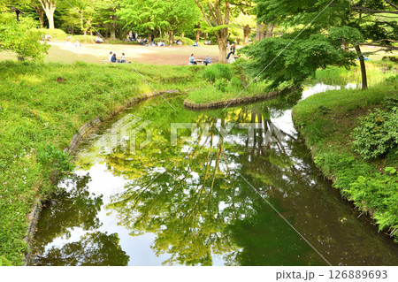 新緑が池に映り込む北の丸公園 新緑が池に映り込む北の丸公園 126889693