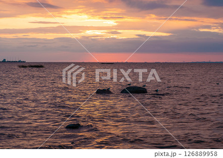 Scenic sunset on the sea. The sky is painted with bright colors. Waves are rolling on the shore. Cloudy summer evening. 126889958
