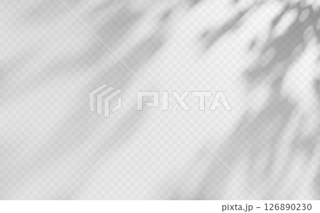Abstract shadow overlay from tree branch on a transparent background. 126890230