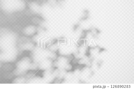Abstract shadow overlay from foliage on a transparent background. Abstract shadow overlay from foliage on a transparent background. 126890283