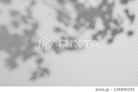 Abstract shadow overlay from foliage on a transparent background. Abstract shadow overlay from foliage on a transparent background. 126890293
