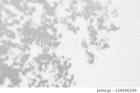 Abstract shadow overlay from foliage on a transparent background. Abstract shadow overlay from foliage on a transparent background. 126890299