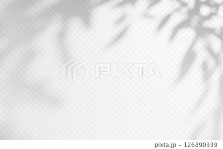 Shadow overlay from a tree branch isolated on a transparent background. 126890339