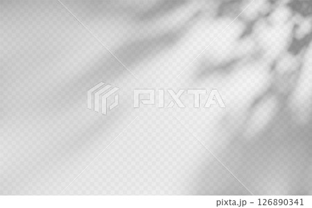 Abstract shadow overlay from foliage on a transparent background. 126890341