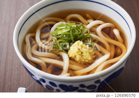 温かいかけうどん 温かいかけうどん 126890370
