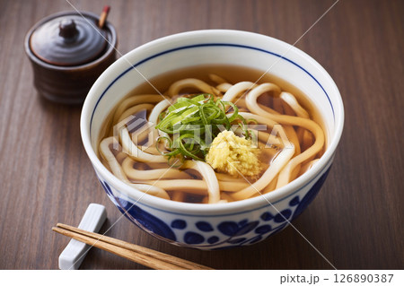 温かいかけうどん 温かいかけうどん 126890387