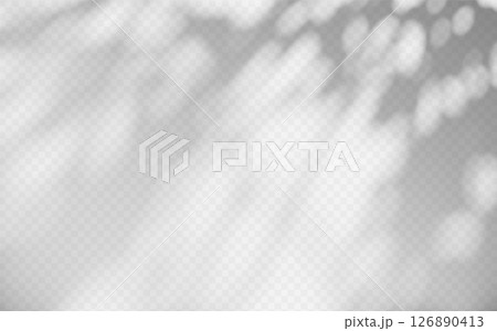 Abstract shadow overlay from tree branch on a transparent background. 126890413