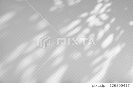 Abstract shadow overlay from tree branch on a transparent background. 126890417