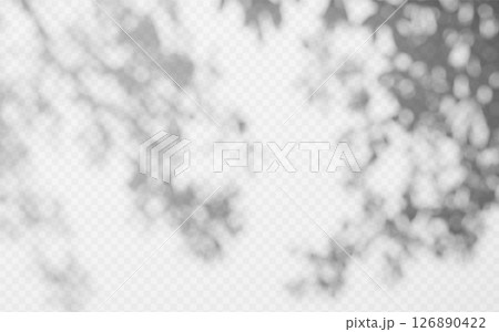 Abstract shadow overlay from tree branch on a transparent background. 126890422