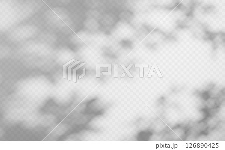 Abstract shadow overlay from tree branch on a transparent background. 126890425