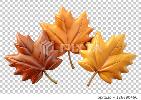 Three Autumn Maple Leaves 126890460